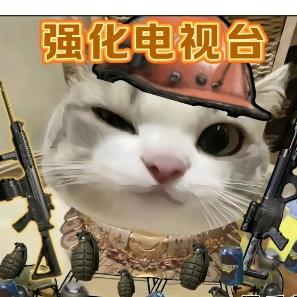 木林