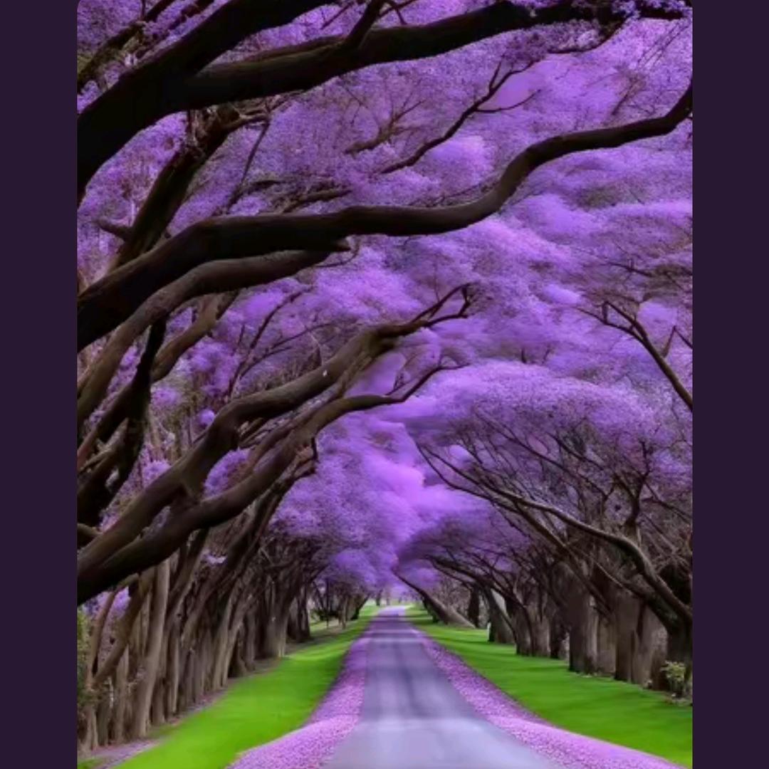 凤足轩