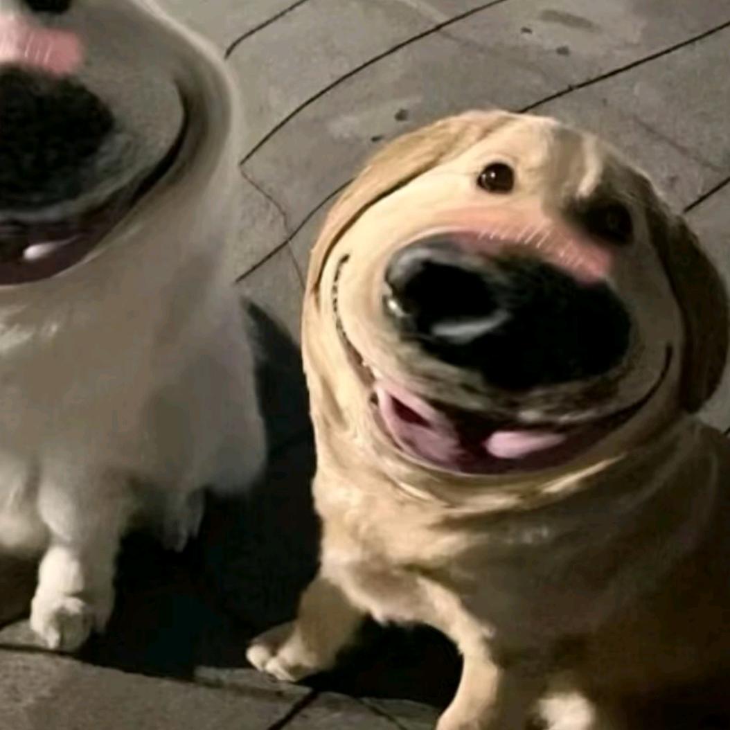 情先生.