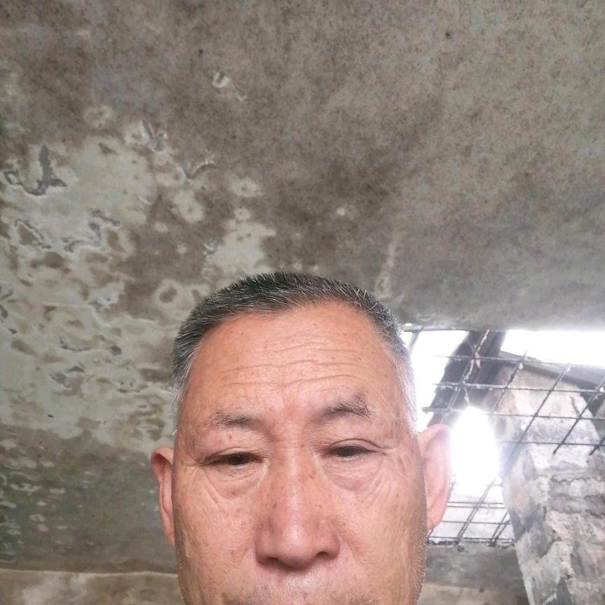 秦光明