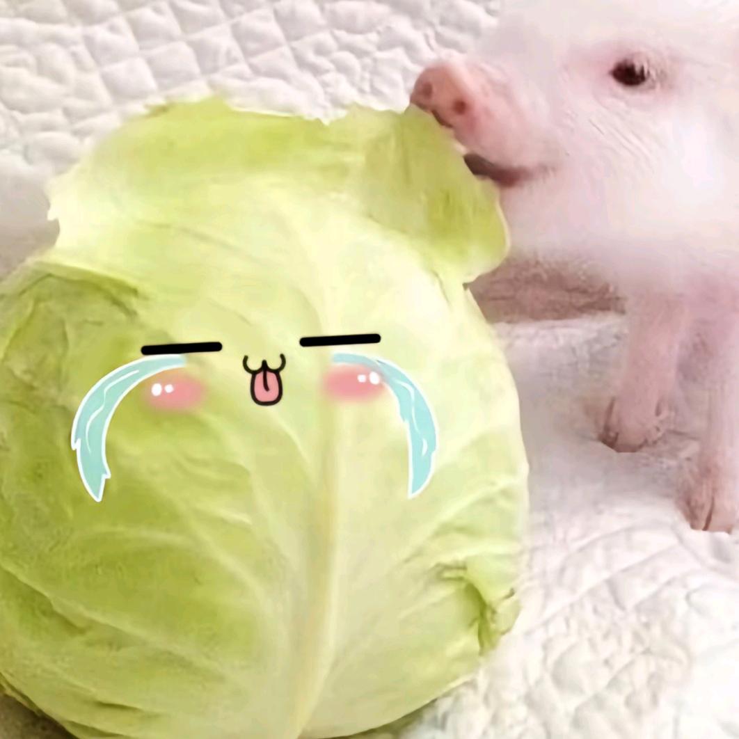 小傲不太冷