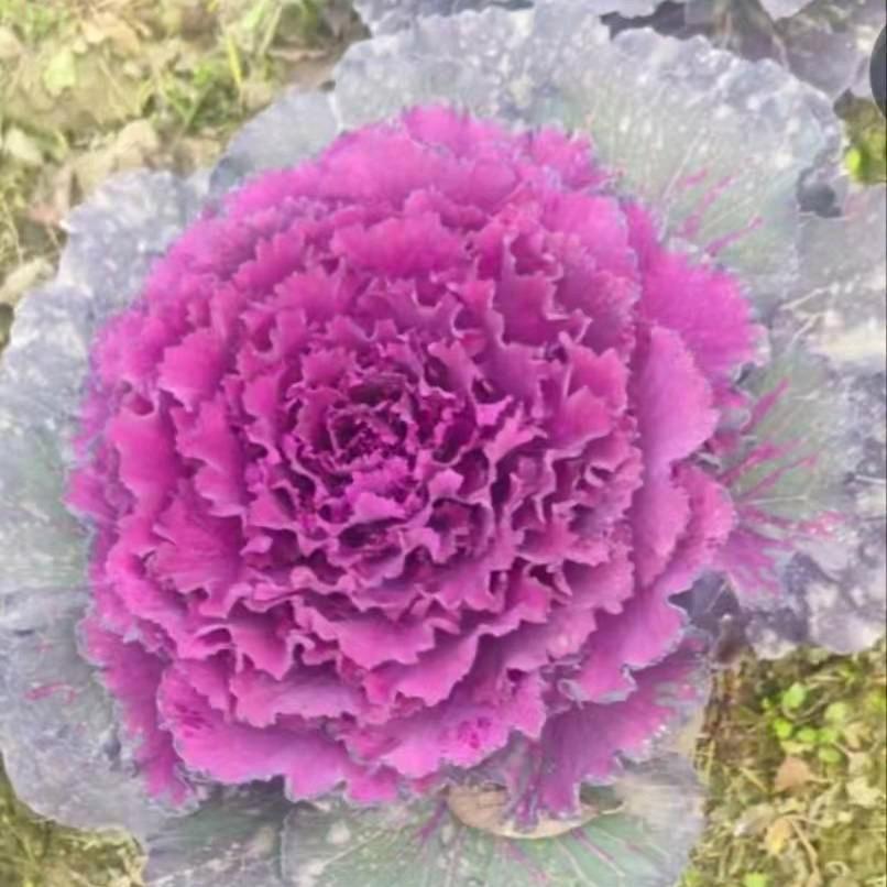 改变自己，从新开始