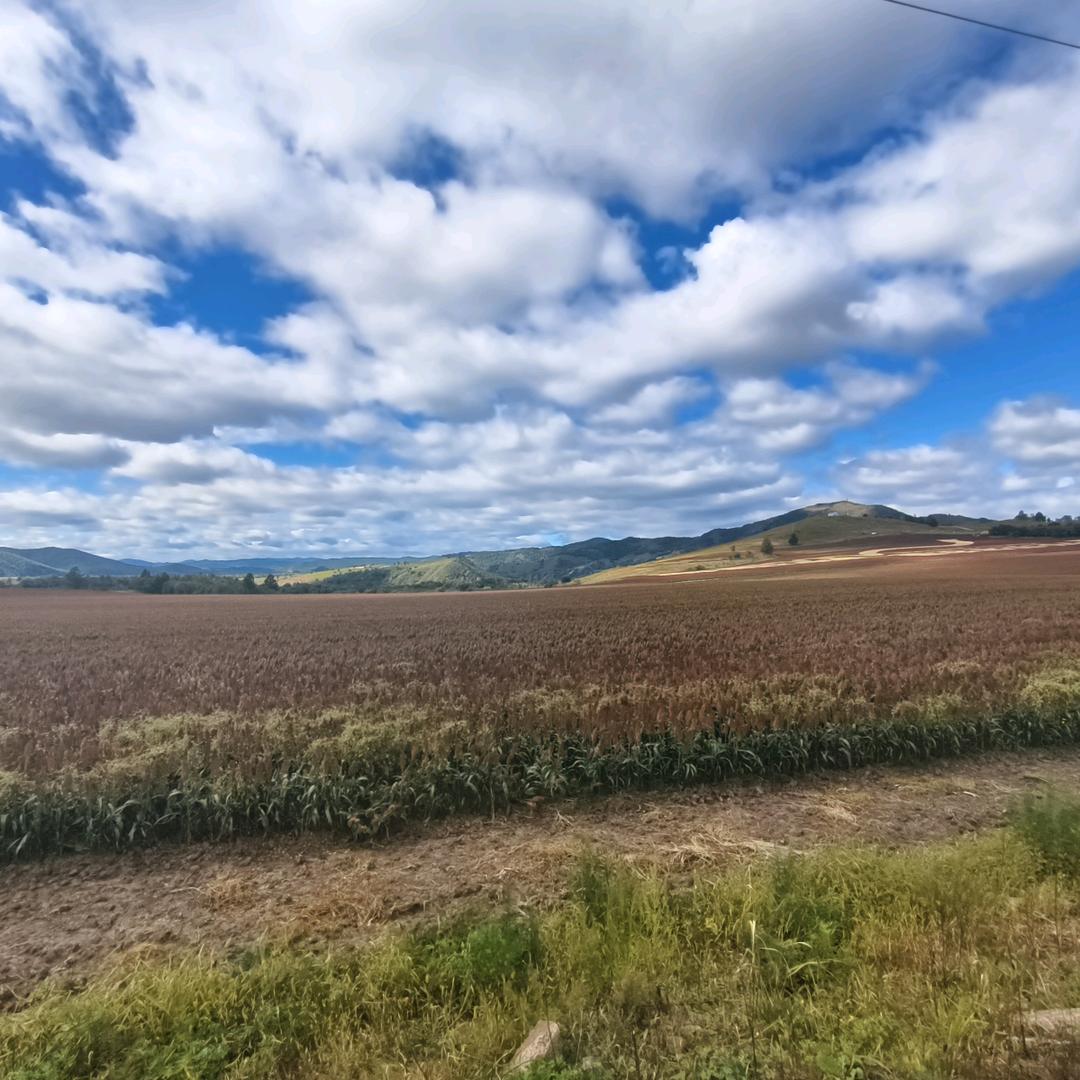 小怪瘦！！！……