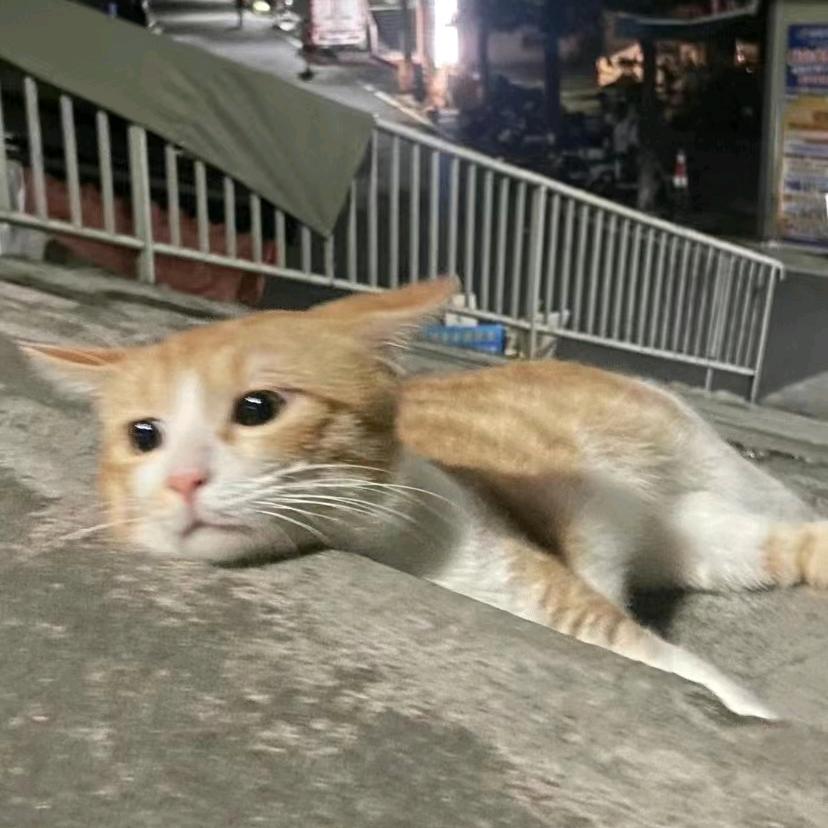 法