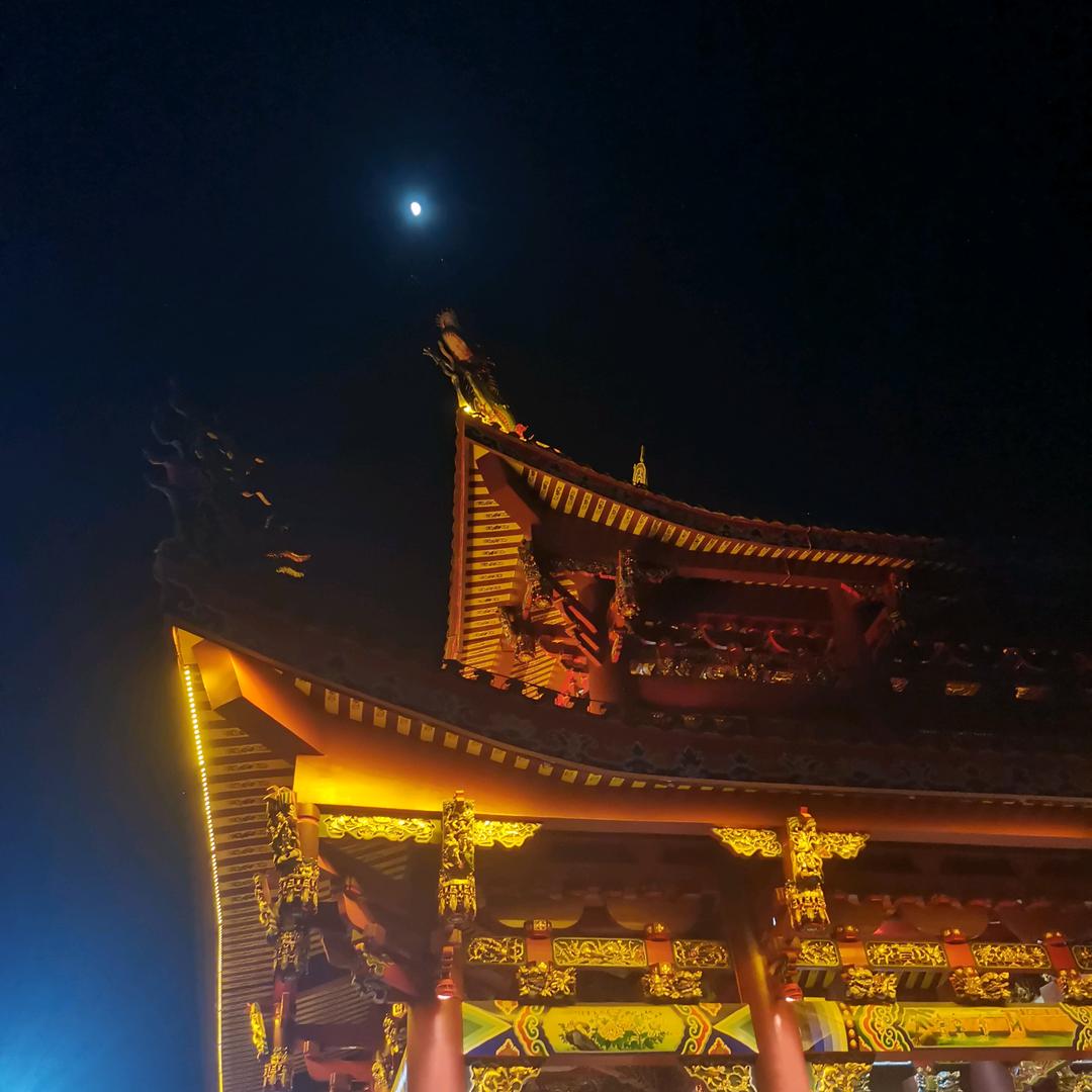 洪仔仔