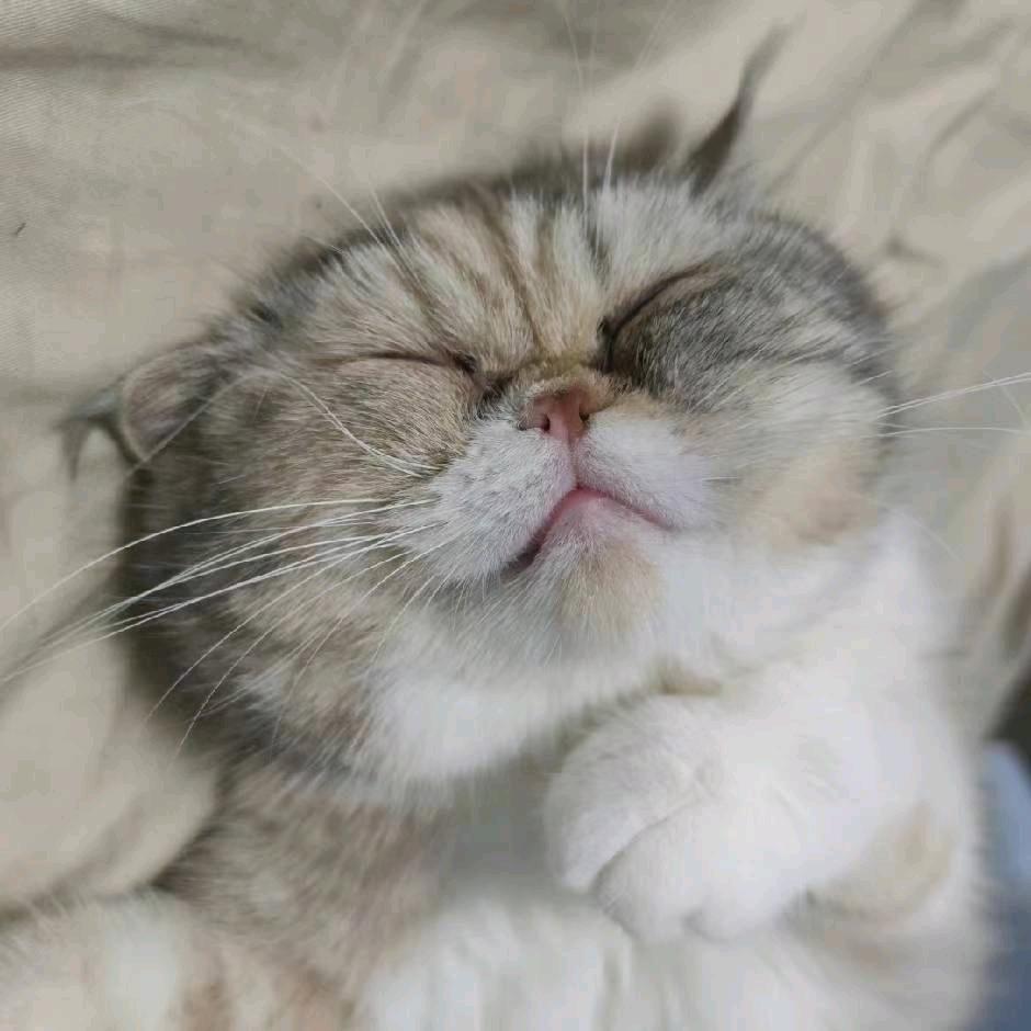 泡泡萌粒潮玩diy