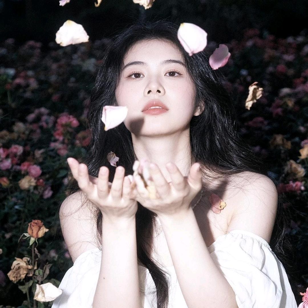 ↻苏默-许七安👑