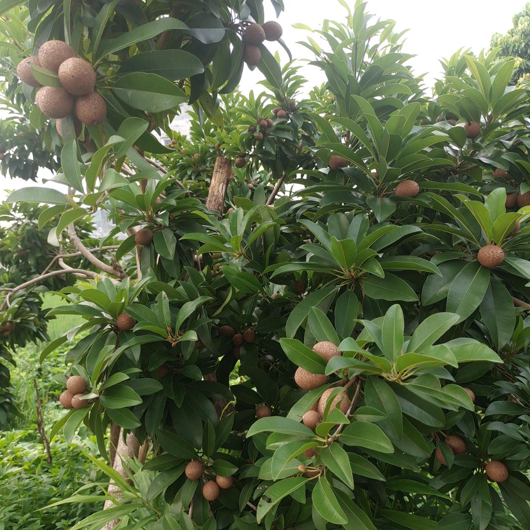 余生好好爱自己