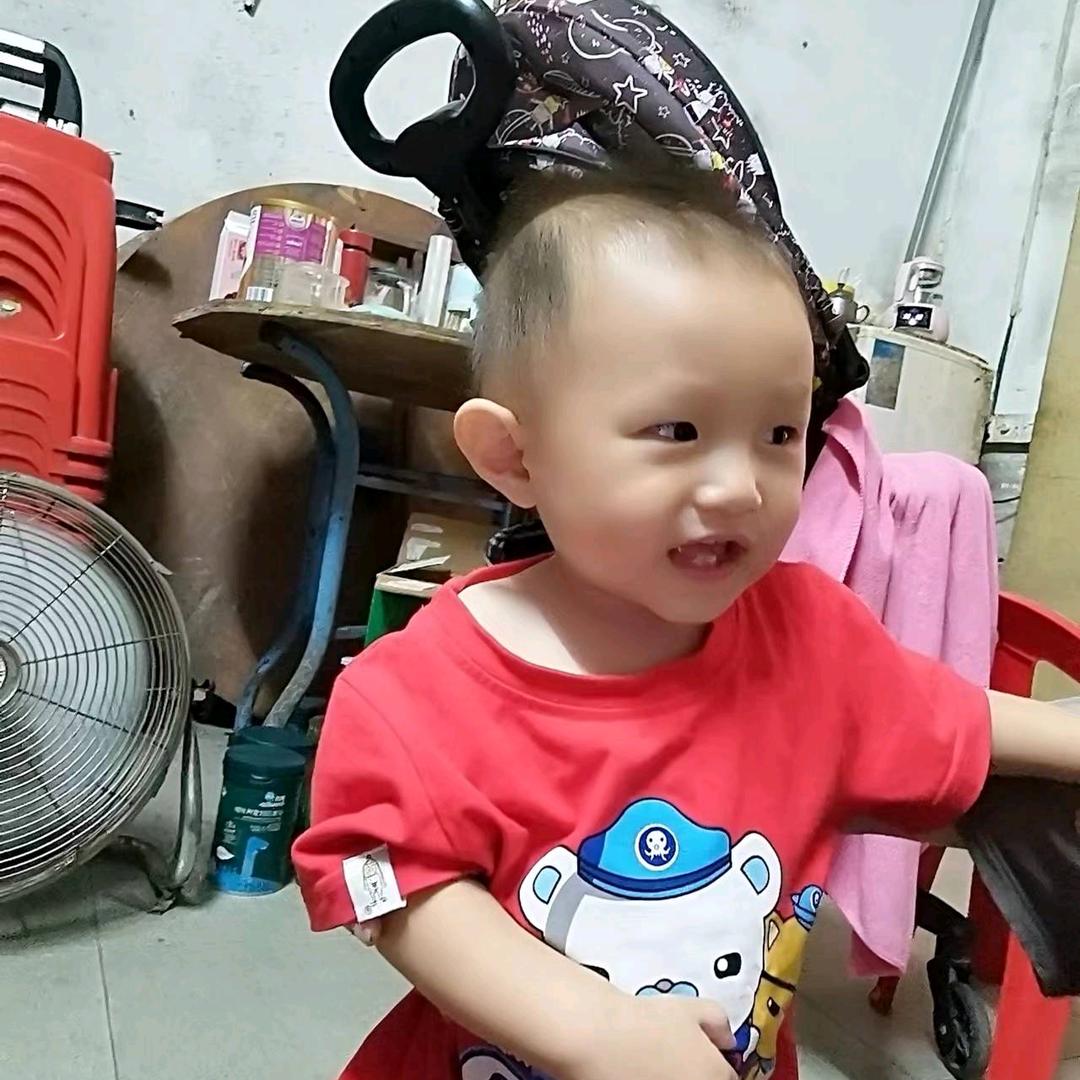 一路向杨
