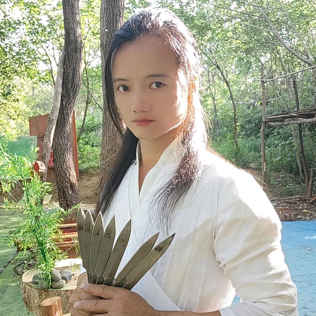 飞剑客信阳快剑