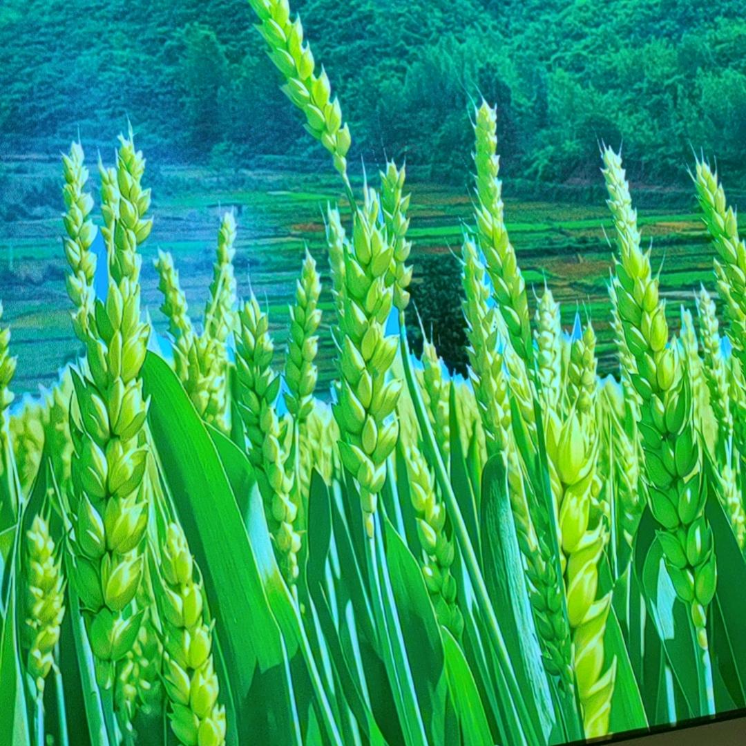 外婆小厨（萍乡润达店）
