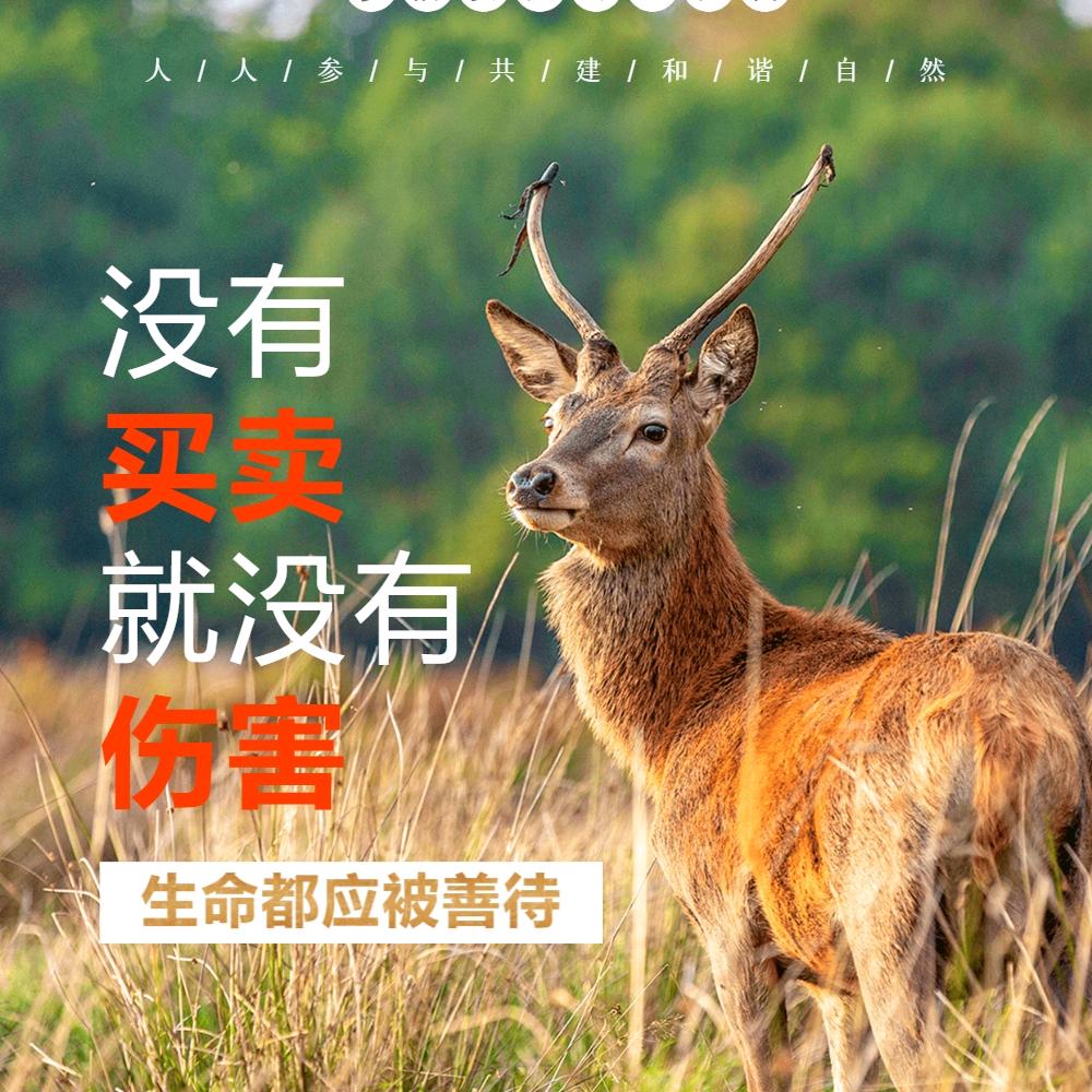 小鸟安家