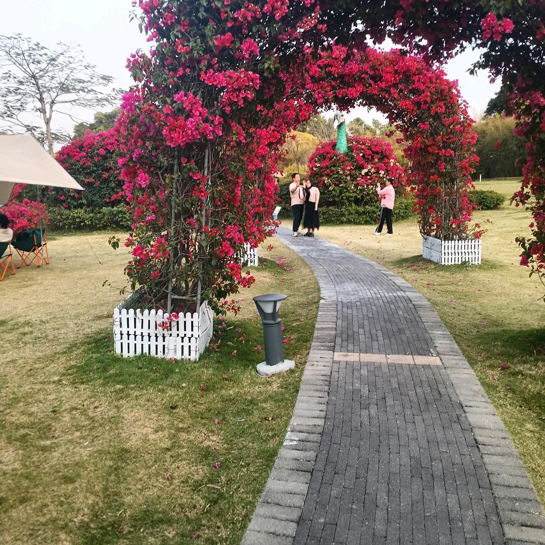 关爱家人，健康快乐