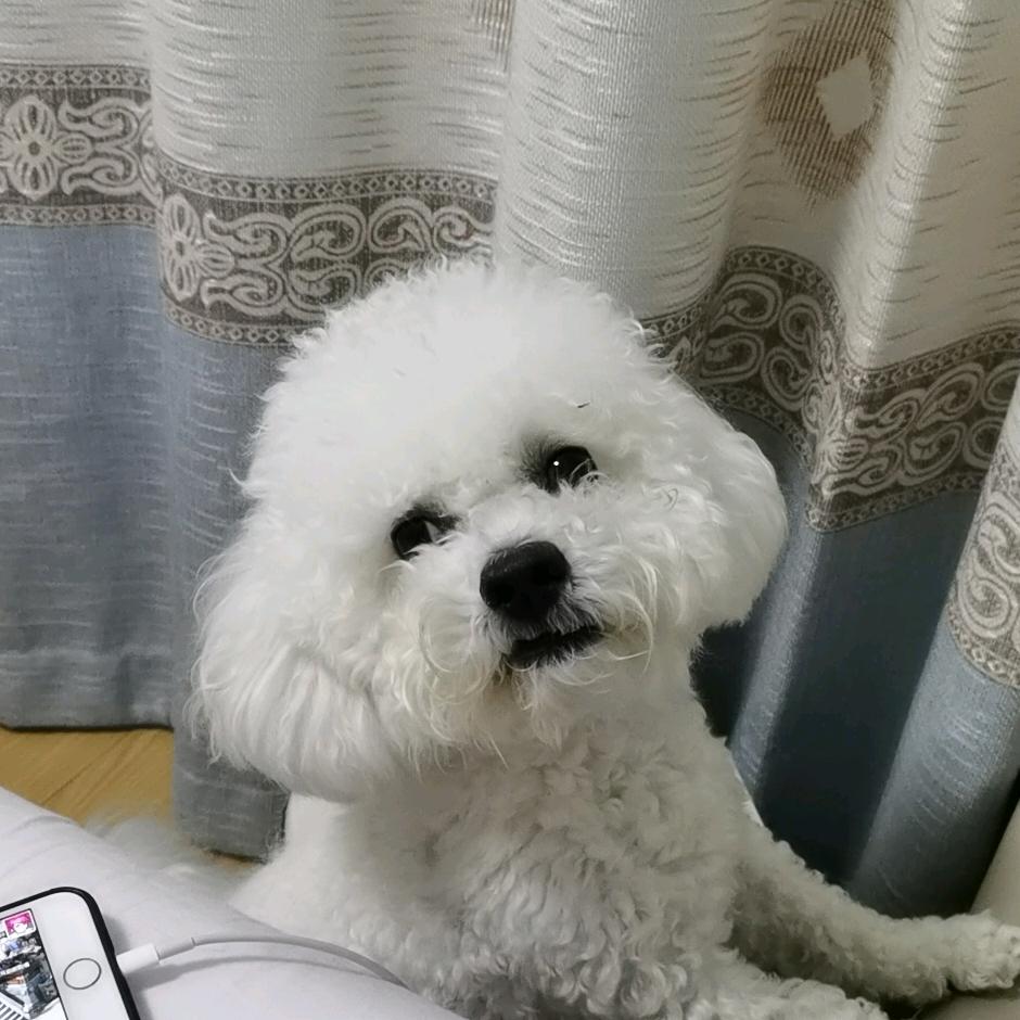 哈里码哈里欧