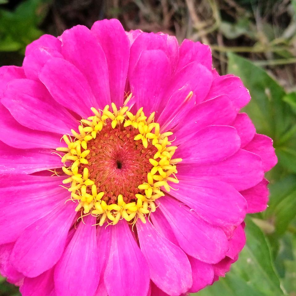 行走江湖