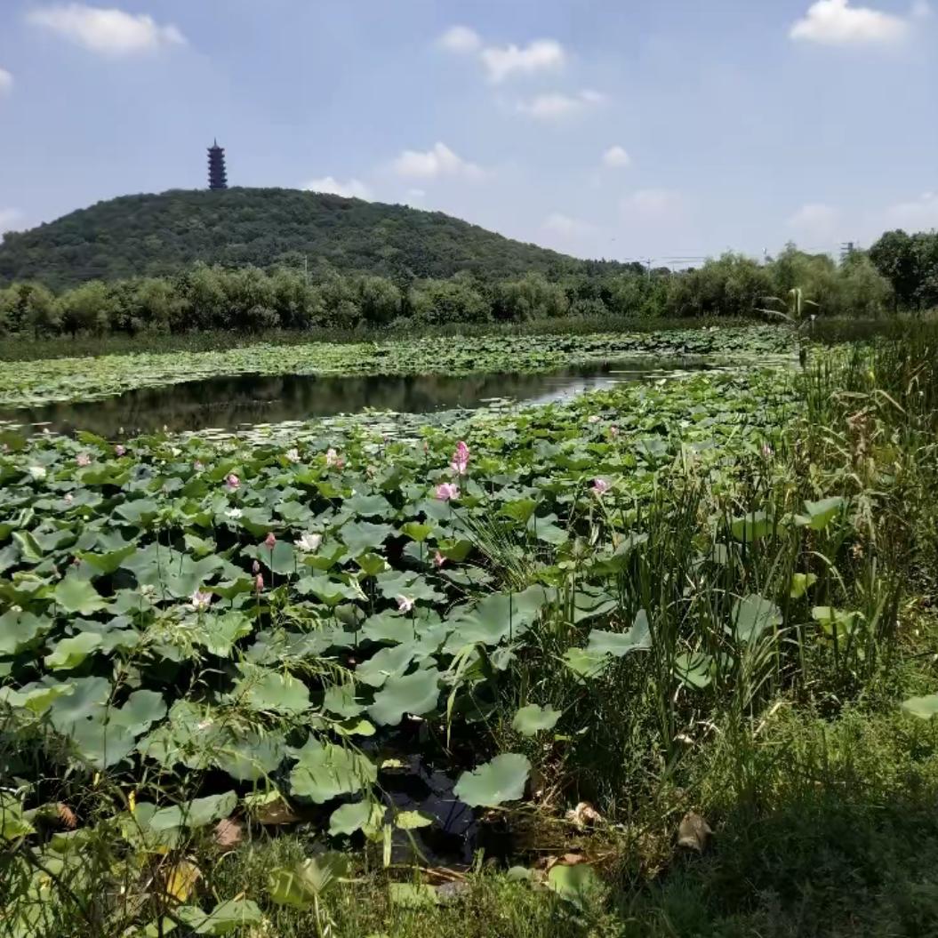 欢迎来到直播间