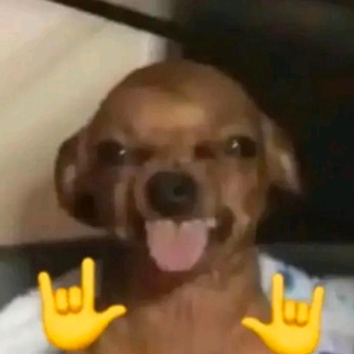 粘土泡泡糖🍯🥠