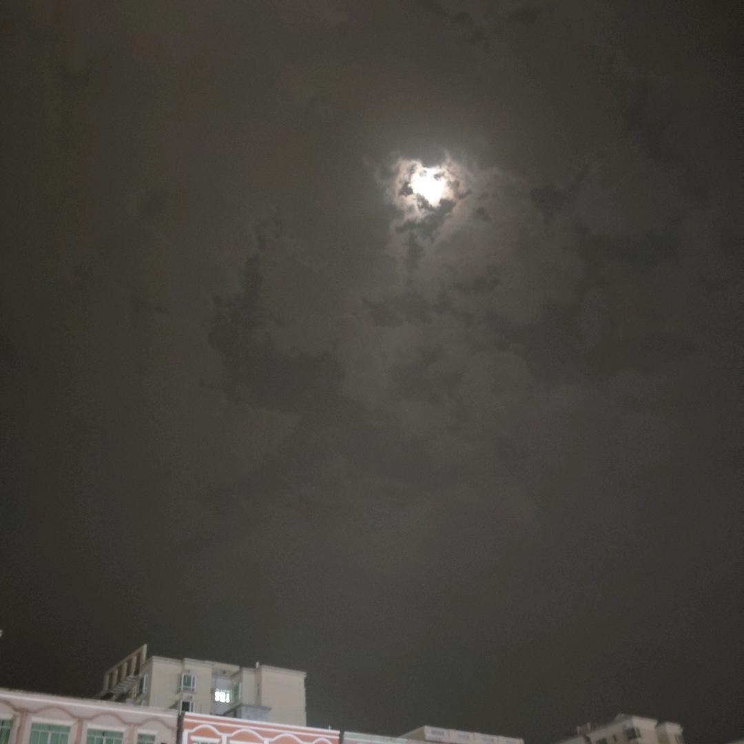 王丹丹