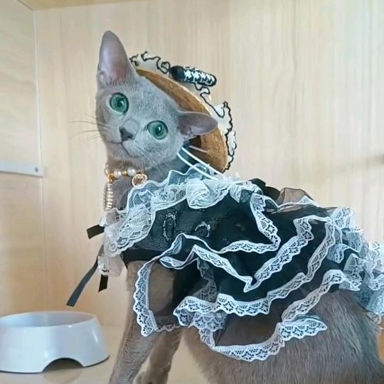 婷婷