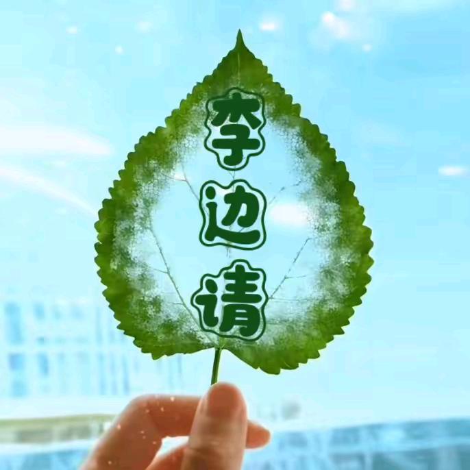 谢谢❤️❤️杰哥