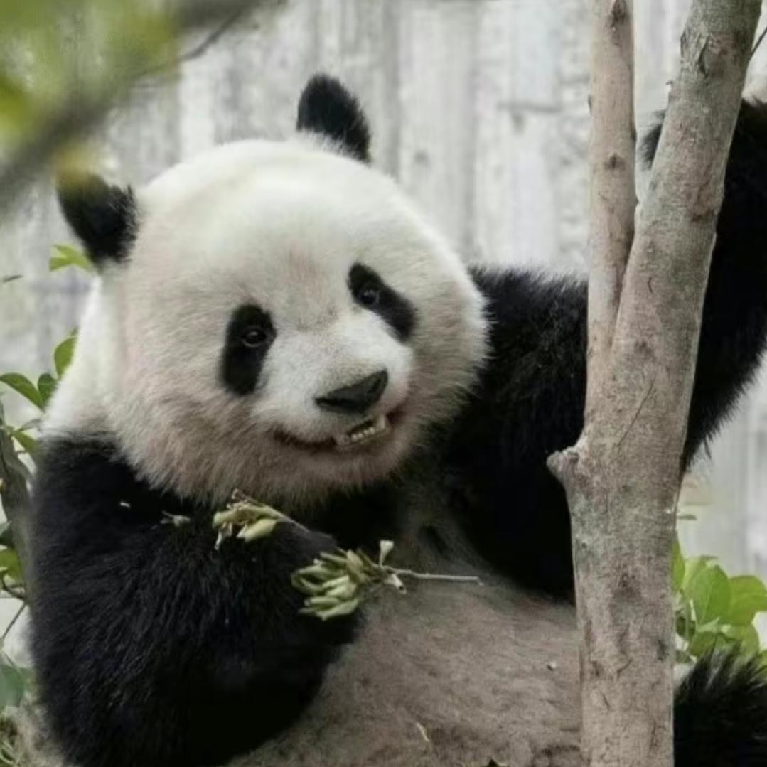【酒界百事通】醉得劲儿