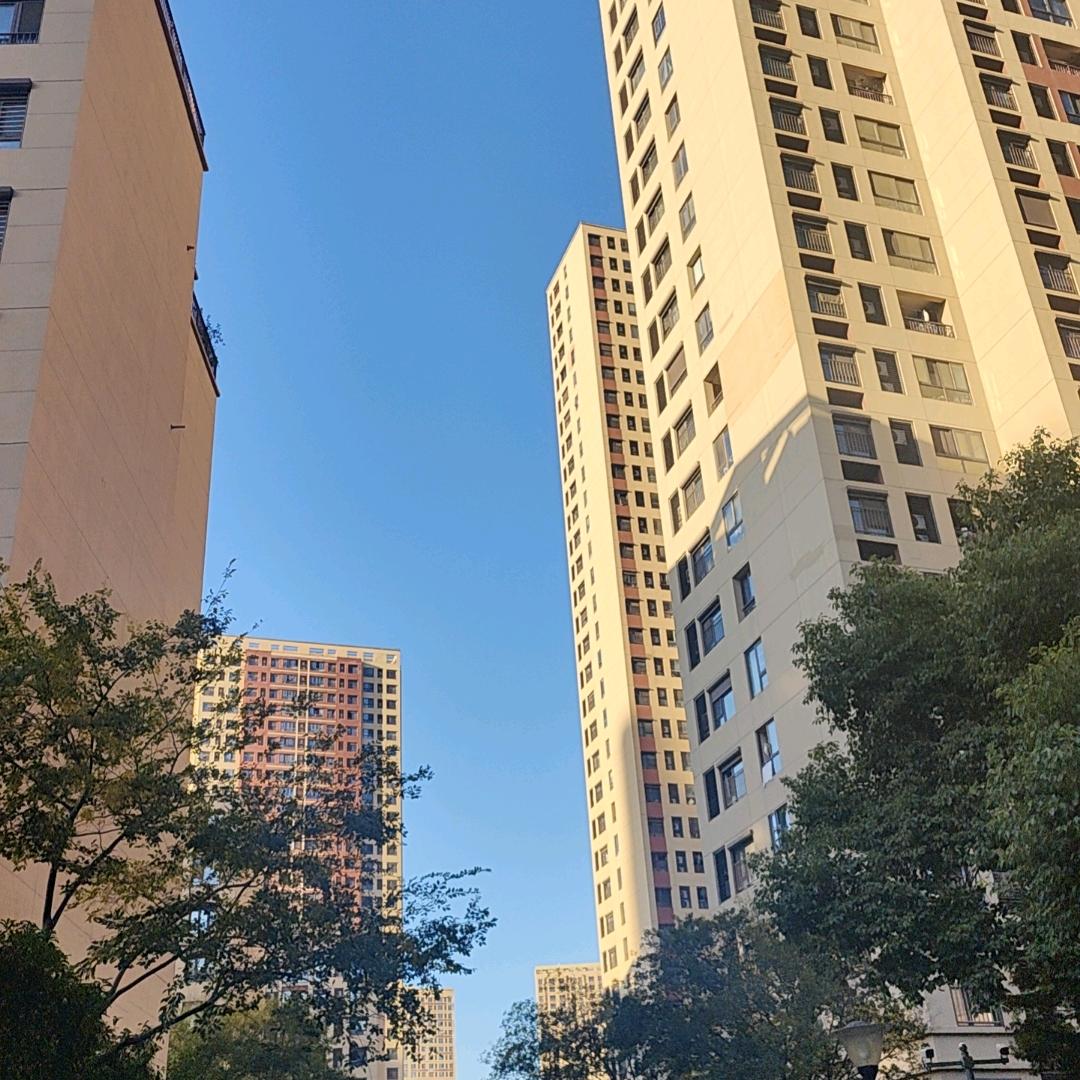 太阳🌞🌞