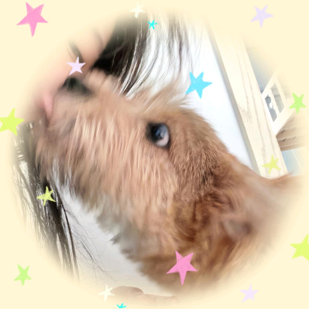 咸盐水🍗