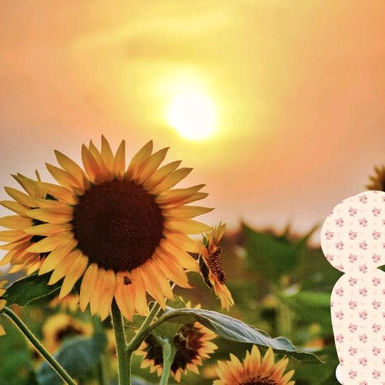 靓丽宝贝童鞋批发