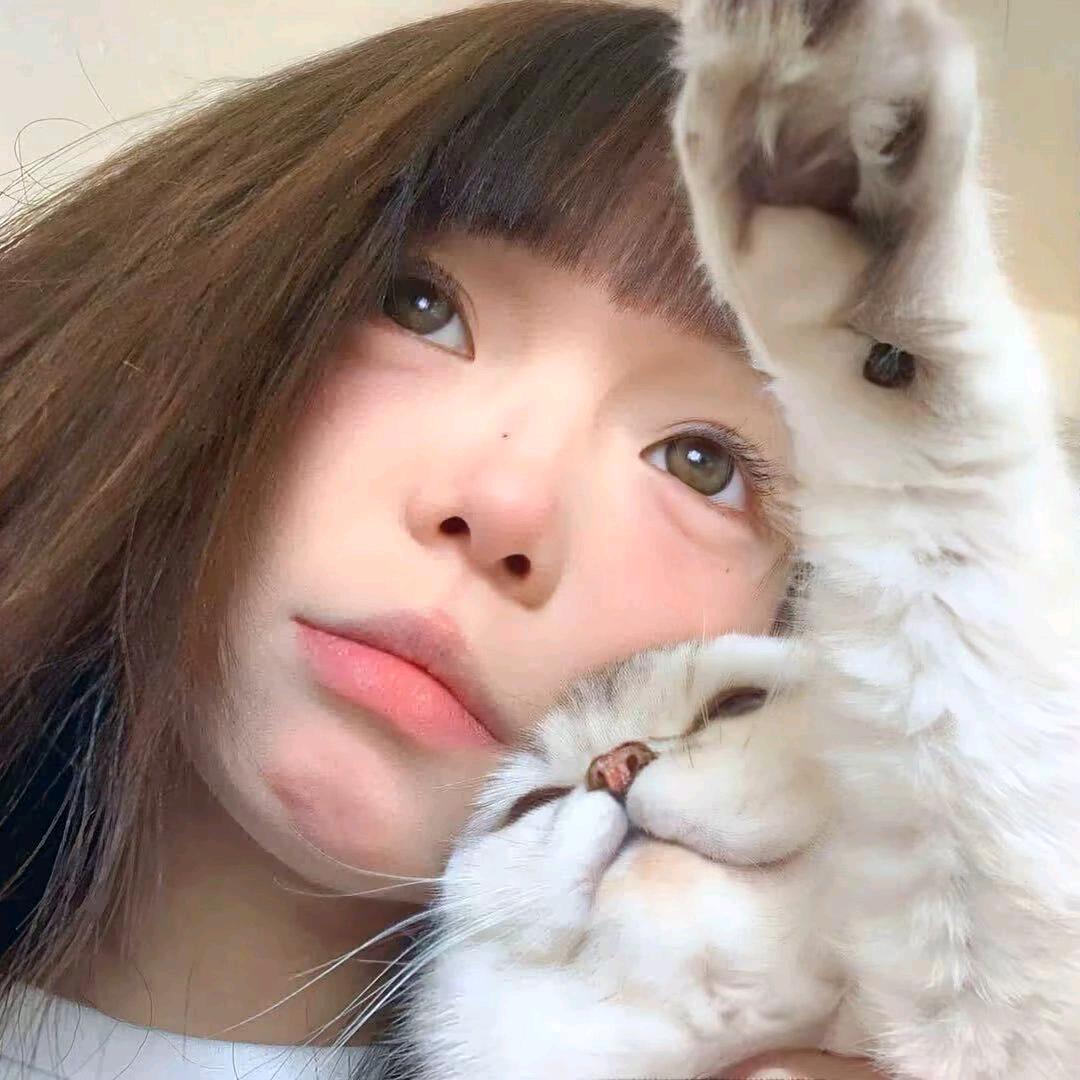 ya∩__∩y