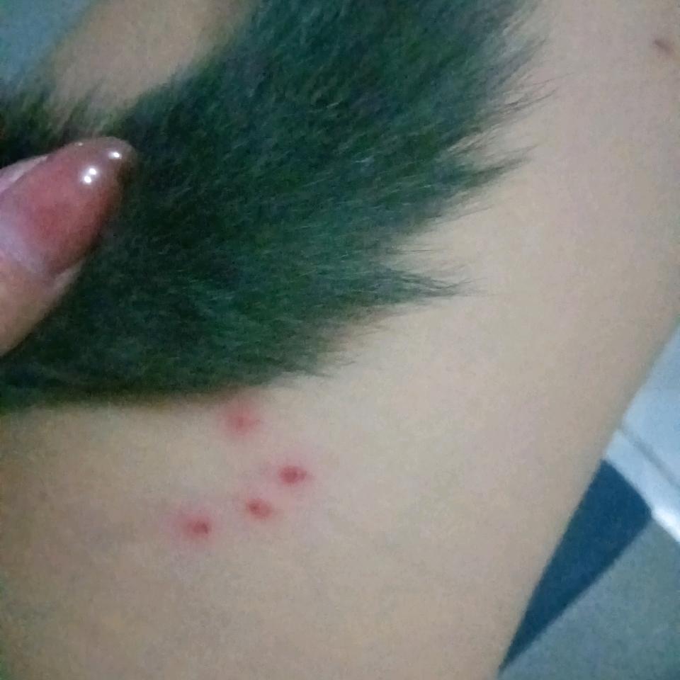 💕芥末