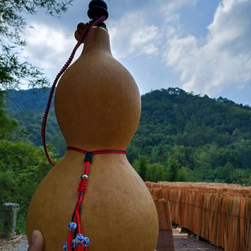 陪你看风景