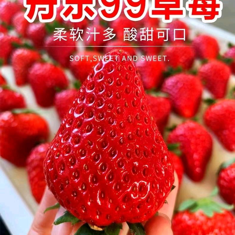哥们