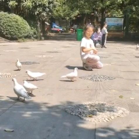 心想天高命才子博