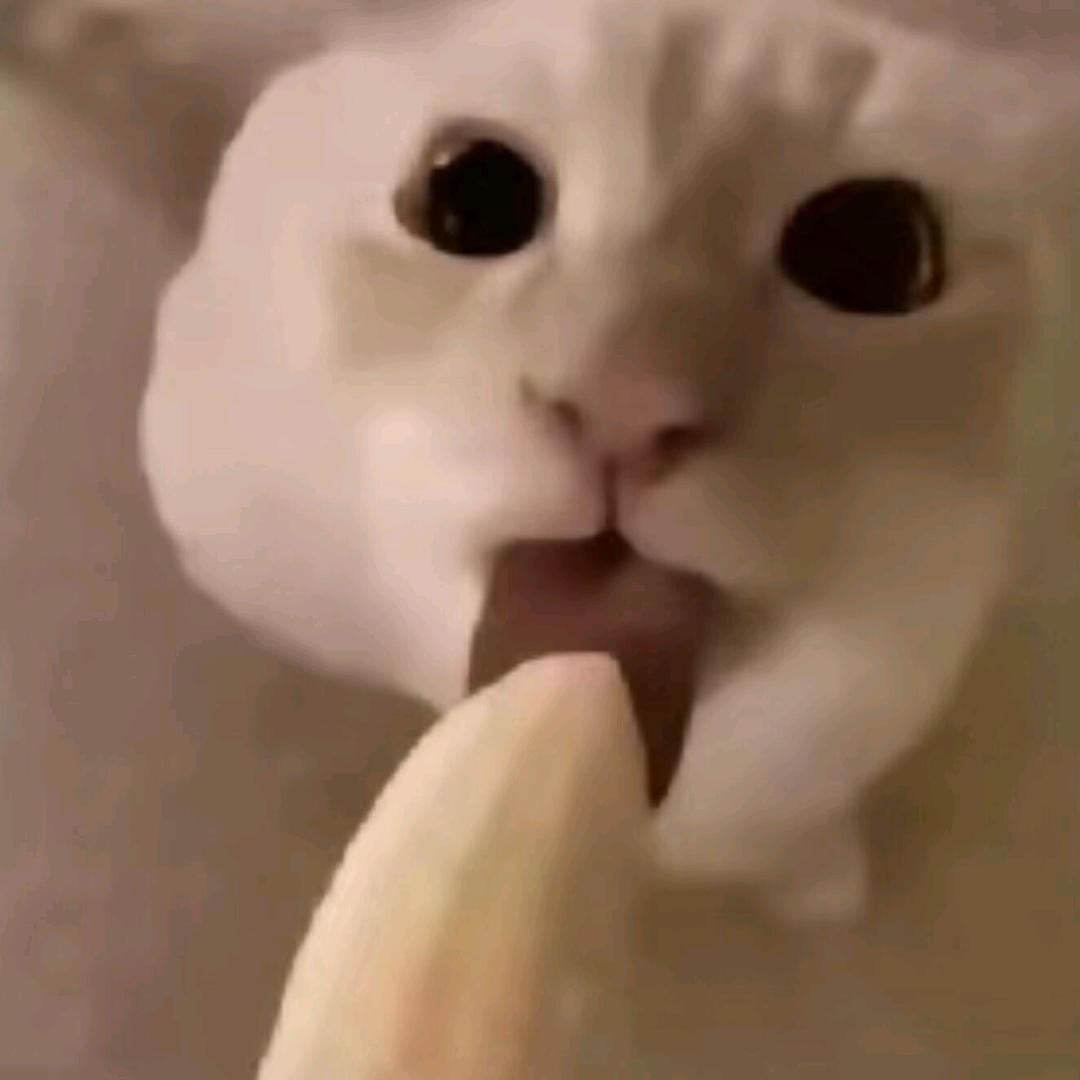 [杀马特]