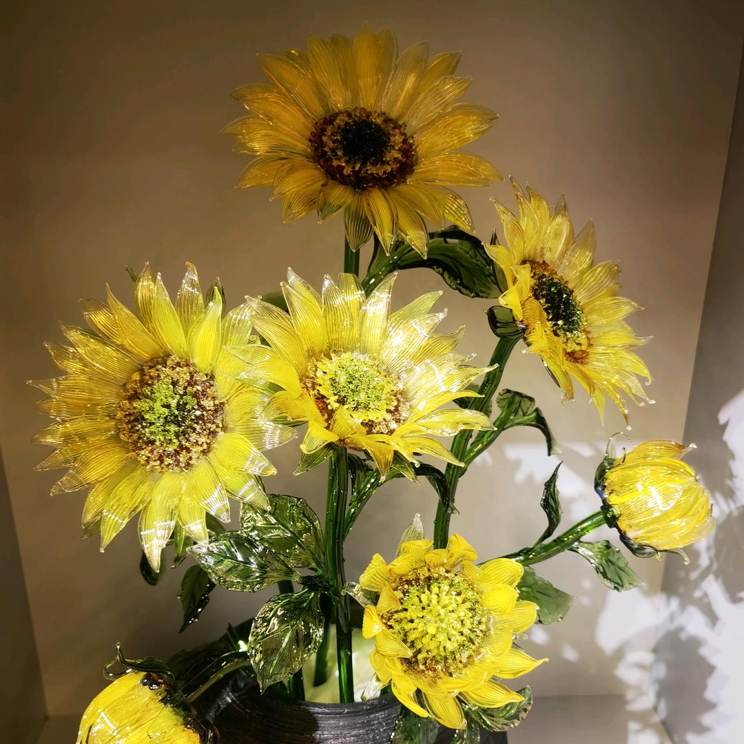 🌻向日葵