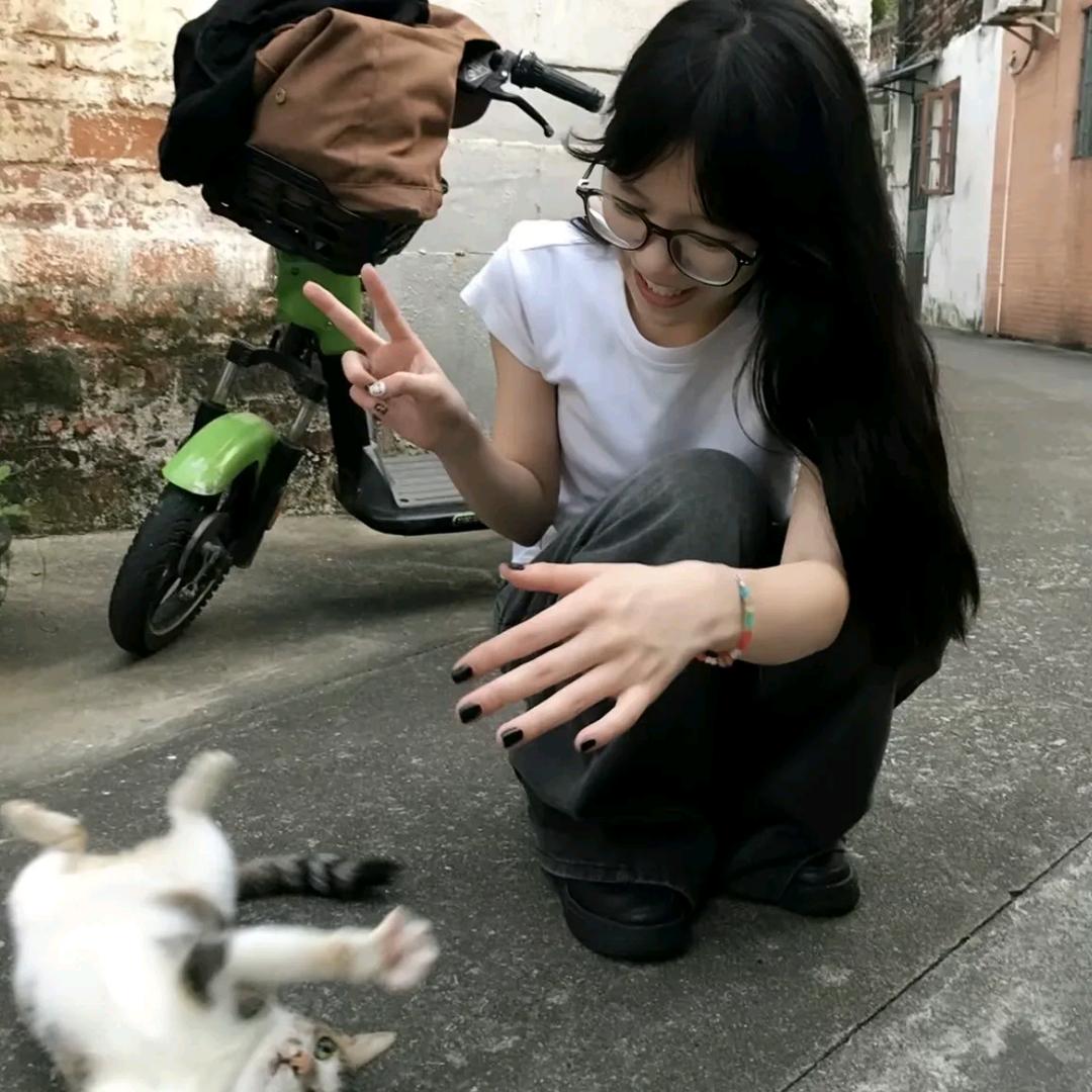 ʚ貓ɞ