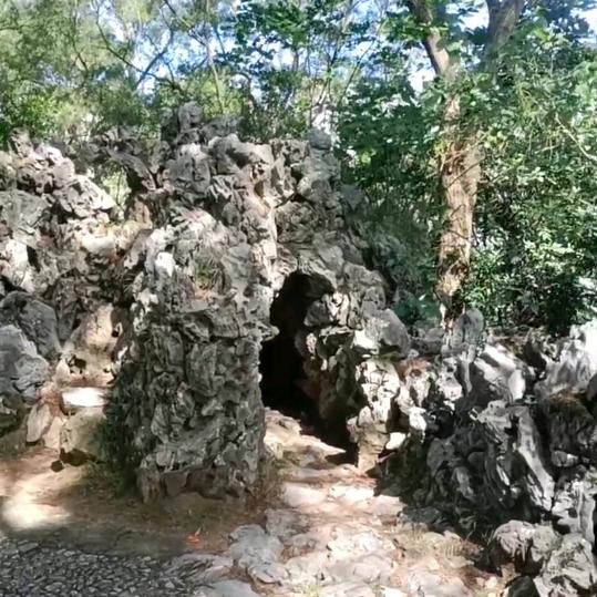 梦想蒋