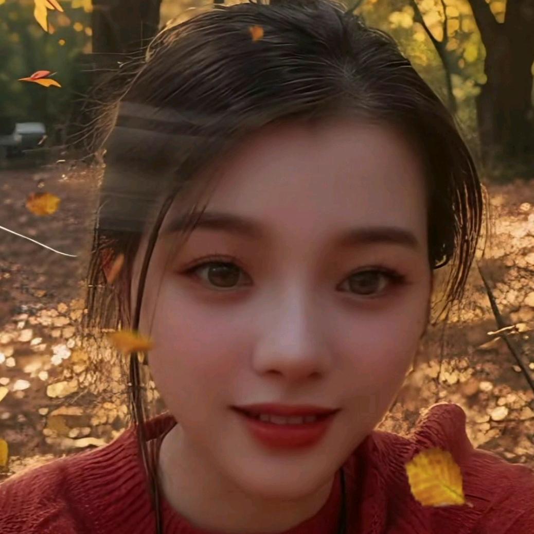 🍁菲🍀