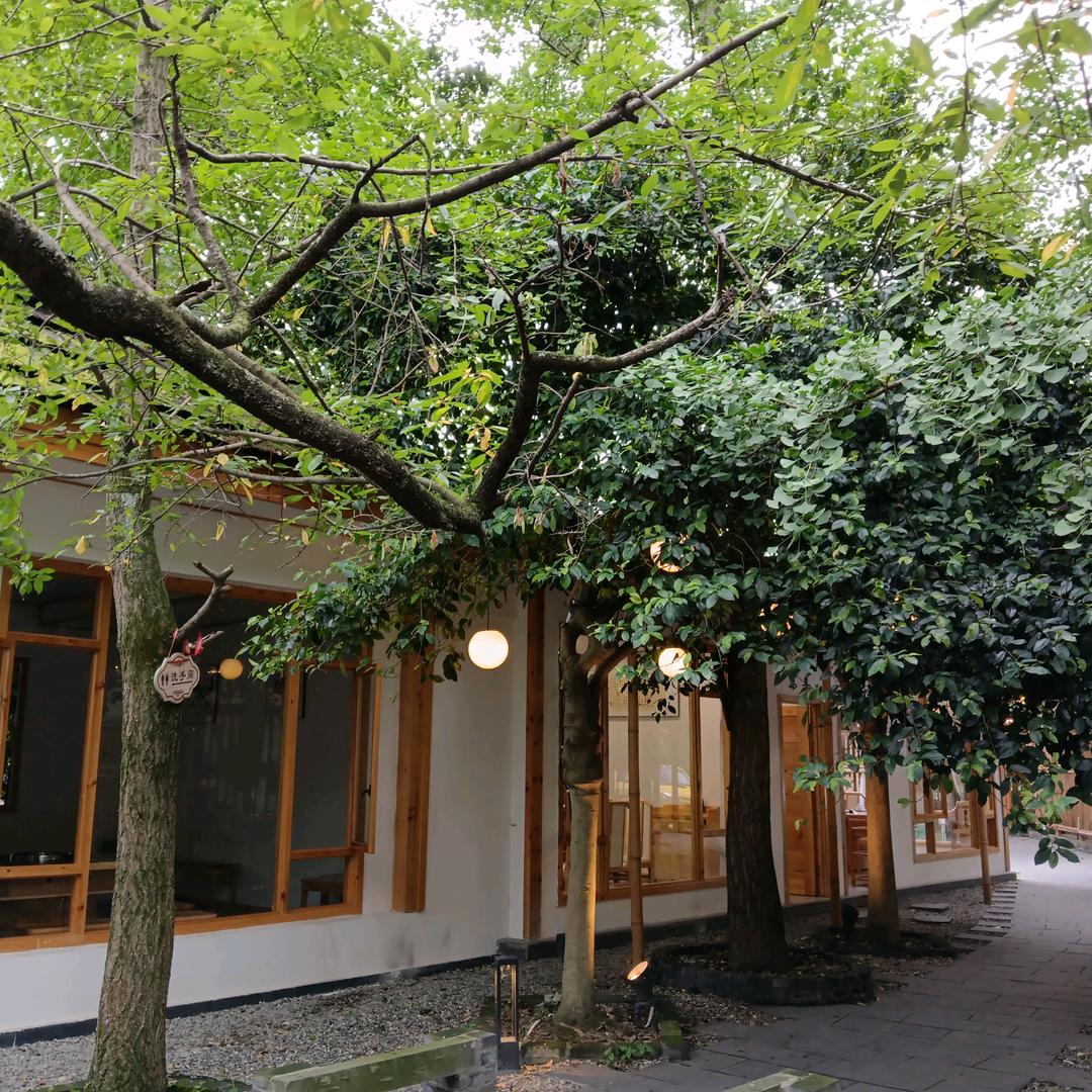 人生风雨