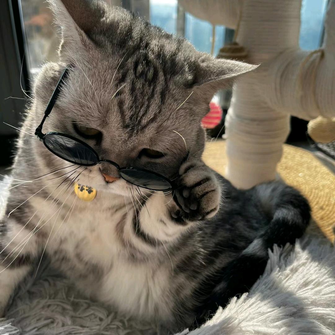 ￴ ￴ ￴ ￴￴ ￴￴