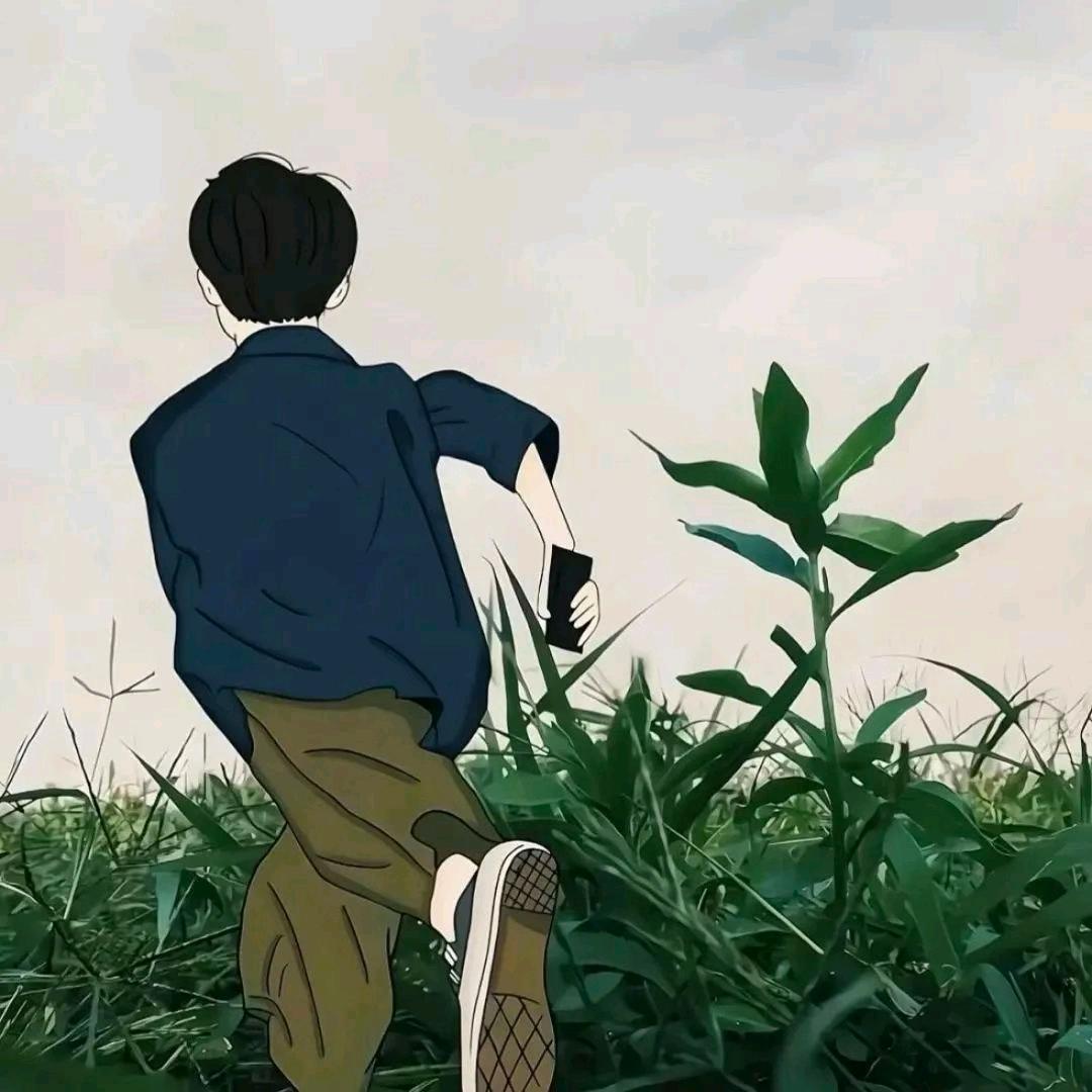ZY