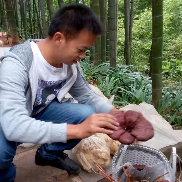 懂事长的🐷