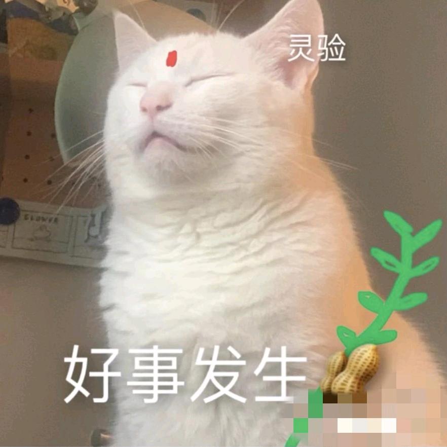 爱喝阿萨姆爱奶茶