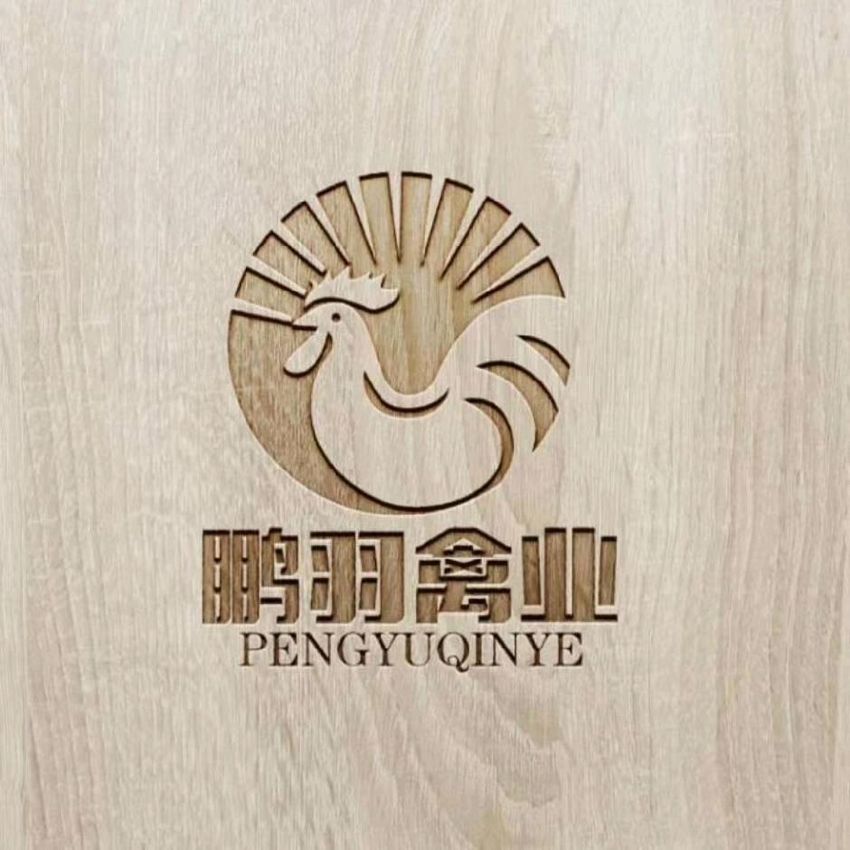 河南鹏羽禽业(专业青年鸡育雏)