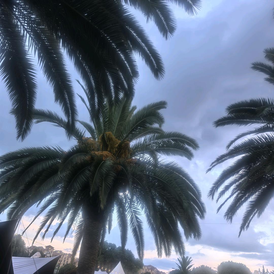戊唑醇