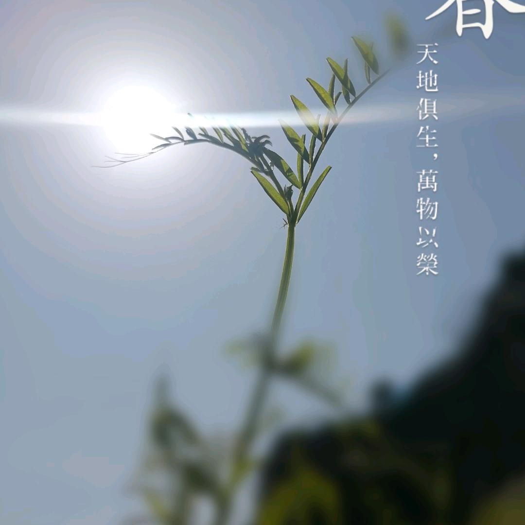 随遇而安