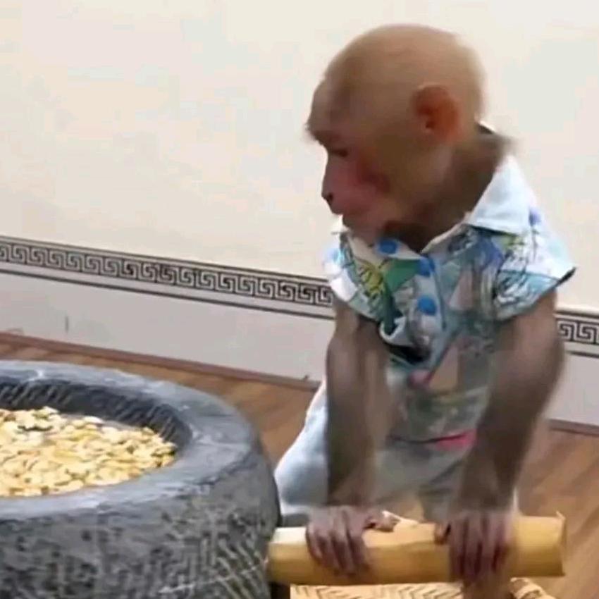 原粉批发市场营销