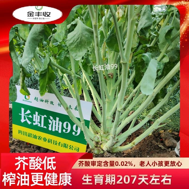 金丰收种业游老师🔥