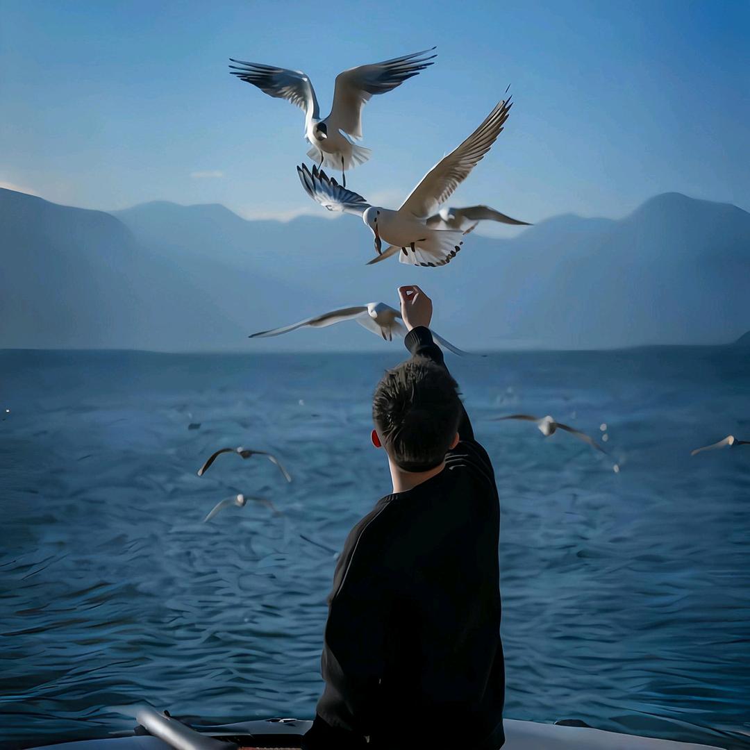荷蔼海