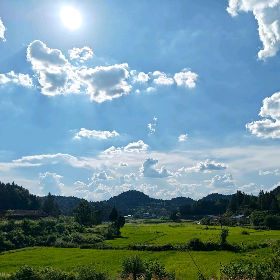 中旺小助理